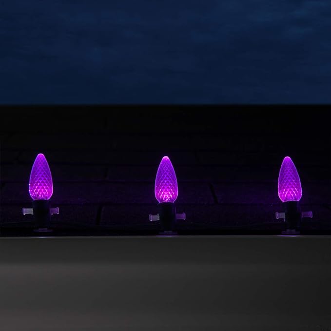 Wintergreen Lighting 25 OptiCore Commercial Outdoor C9 LED Outdoor Christmas Halloween Lights – 25 ft Purple, 3-Year Warranty, Polycarbonate, Commercial Shatterproof