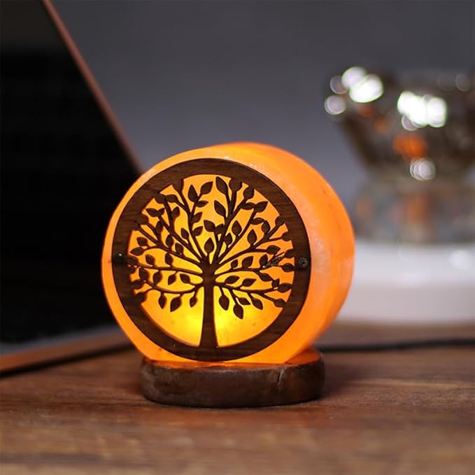 Himalayan Salt Lamp with USB Power, Natural Shape, Color-Changing LED and Warm White Light, Wooden Base Night Light (L, Monochrome)