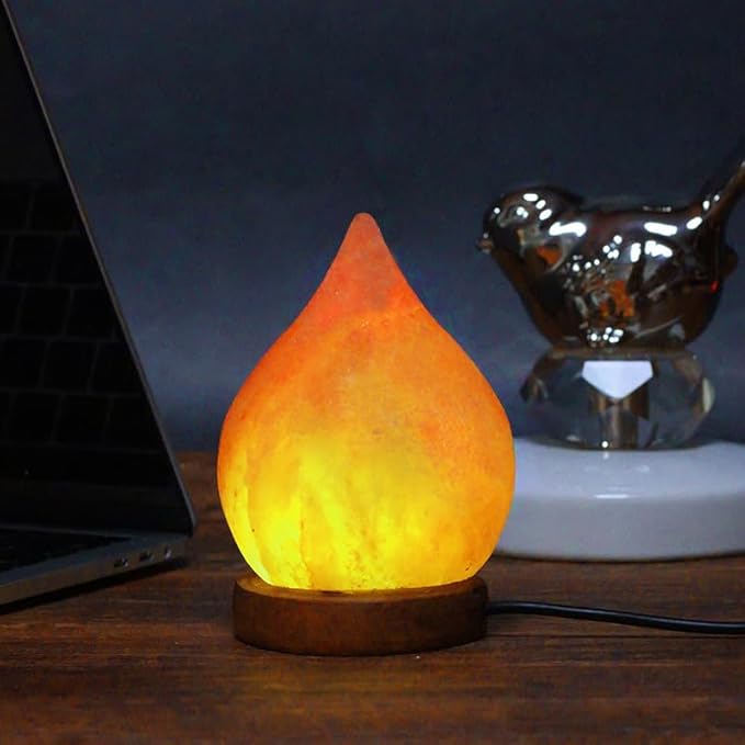 Himalayan Salt Lamp with USB Power, Natural Shape, Color-Changing LED and Warm White Light, Wooden Base Night Light (H, Monochrome)