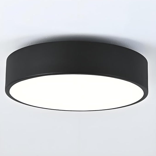 Modern Black Flush Mount Ceiling Light, 2-Lights Round Ceiling Light, Minimalistic Ceiling Lamp Acrylic Shade Lighting Fixture for Bedroom Laundry Room Bathroom Hallway(11.8 Inch)