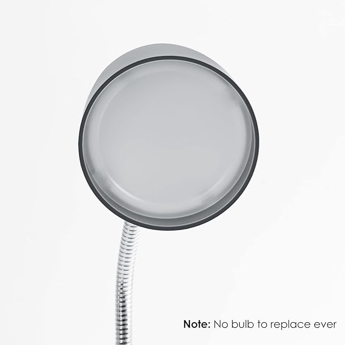 ENERGETIC SMARTER LIGHTING LED Desk Lamp, Flexible Gooseneck with Table lamp, 3.5W 240LM 4000K Cool White Study Lamps for Bedroom and Office, Eye Protection, ETL Listed Silver