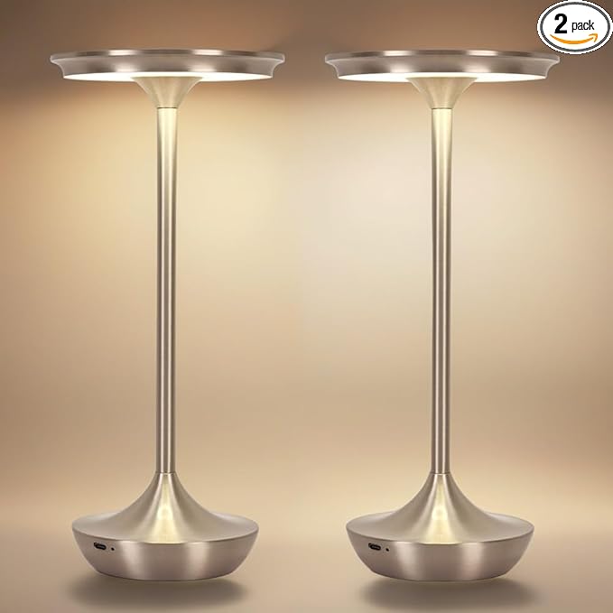 2 Pack LED Rechargeable Cordless Table Lamps,Portable Outdoor 6000 mAh Battery Operated Table Light Touch Control 3 Color Dimmable Waterproof for Patio/Cofee/Restaurant/Camping/Dining/ Bedroom-Silver