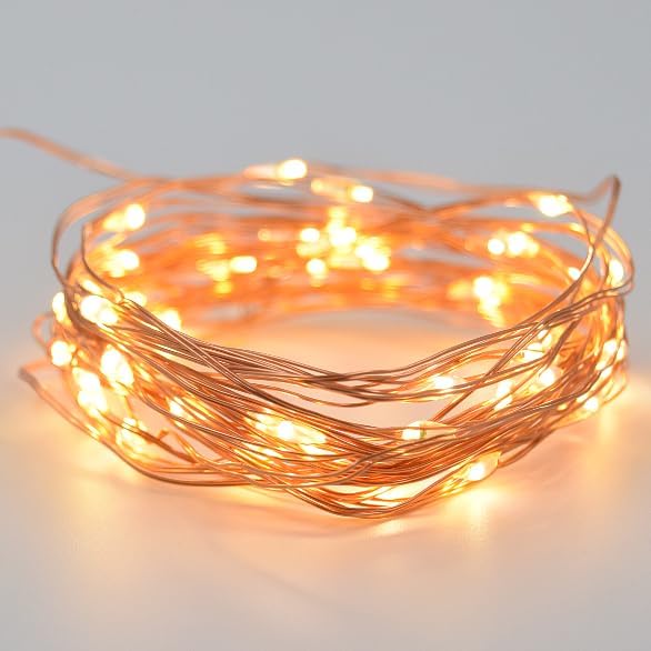 Hometown Evolution, Inc. Warm White Battery Operated Fairy Lights - 16.5 Foot 50 Warm White LED Fairy Lights on Copper Wire - Waterproof for Indoor and Outdoor Use