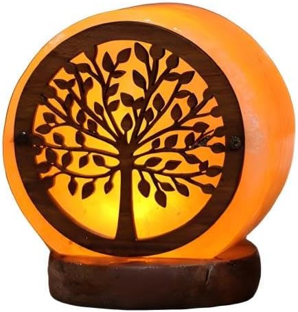 Himalayan Salt Lamp with USB Power, Natural Shape, Color-Changing LED and Warm White Light, Wooden Base Night Light (L, Change Color)