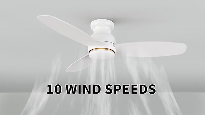 Carro Ceiling Fan with Lights, Indoor & Outdoor Ceiling Fan, 52" Low Profile DC Smart Ceiling Fan Compatible with Alexa, Siri, Google Home & Smart APP, 2 Colors of Reversible Blades,White