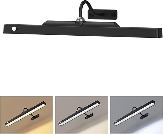 Picture Light for Wall Art Motion Sensor – 16'' Wireless and Dimmable Gallery Light, 5000mAh Battery Operated with Remote Control Art Light Over Frame Paintings and Artworks (Black)