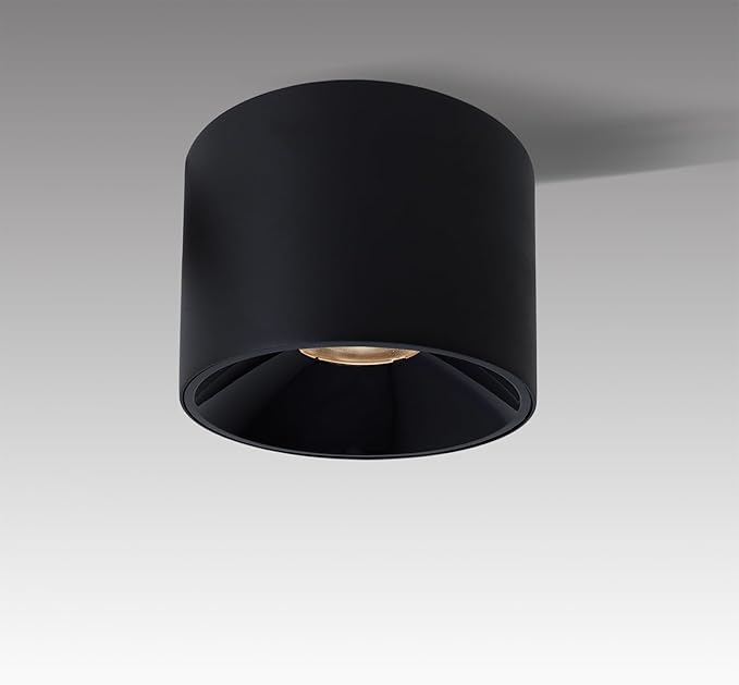 LED Dimmable Ceiling Spot Light Aluminum Matte Black 4.72'' Cylinder Spotlight Indoor Modern Minimalist Focus Ceiling Down Light Fixture for Living Room Hallway Foyer CRI 98 12W 3000K