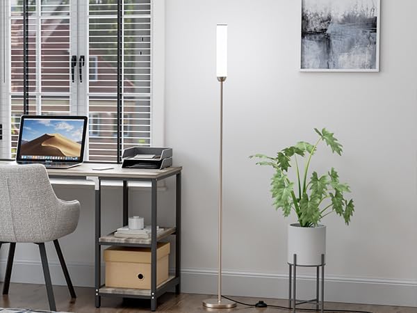 Ambimall LED Floor Lamp with Remote Control, 65" Standing lamp with Stepless Adjustable 3000K-6500K Colors & 30-100% Brightness, Foot Switch(Champagne Gold) (Pack of 2)
