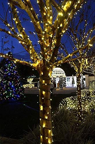 Always ON 33ft True Parallel 100-LED Outdoor Waterproof String Lights - Works with 12V Low Voltage Landscape Lighting Systems (Warm White1)