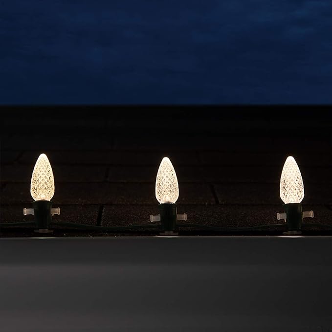 Wintergreen Lighting 50 C9 OptiCore LED Commercial Outdoor Christmas Lights – Heavy Duty Christmas String Lights; Green Wire (50 ft, Warm White)