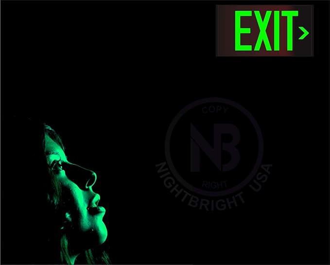 Photoluminescent Exit Sign Red W/Holes and Hardware - Aluminum - UL 924 Code Approved/IBC/NFPA 101) Made in USA | NightBright USA Part Number ULR-050-HH