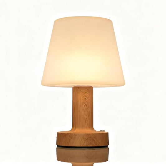 Shower Lamp Mushroom Lamp LED Table Lamp for Bedroom 3-Level Dimmable Rechargeable Desk Bedside Small Lamps Night Light for Bedroom, Living Room, Study and Home Offices Decor