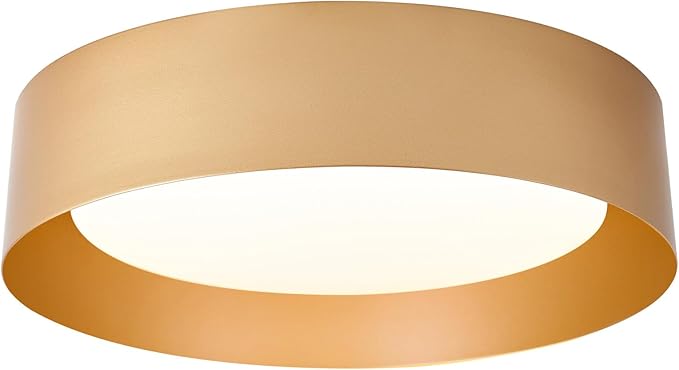 Bargeni Flush Mount Ceiling Light, 16.5 inch LED Ceiling Light Fixture, Polished Gold Finish, Dimmable/3000K/18W, Outdoor Flush Mount Lighting Fixture