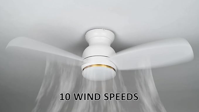 Carro Ceiling Fan with Lights, Indoor & Outdoor Ceiling Fan, 52" Low Profile DC Smart Ceiling Fan Compatible with Alexa, Siri, Google Home & Smart APP, White