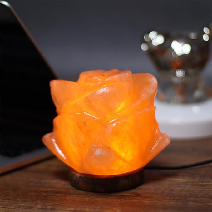 Himalayan Salt Lamp with USB Power, Natural Shape, Color-Changing LED and Warm White Light, Wooden Base Night Light (I, Change Color)