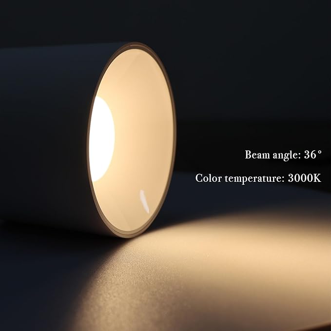 LED Dimmable Ceiling Spotlight Aluminum White 4.72" Cylinder Spot Light Indoor Modern Minimalist Focus Accent Down Light for Cylinder Hallway Kitchen Foyer CRI 98 12W 3000K
