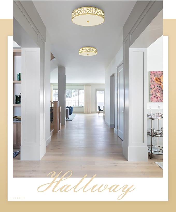 2 Pack Flush Mount Ceiling Light, 12 inch Gold Ceiling Light, 2-Lights Lights Fixture Ceiling Mount with Frosted Glass Shade for Hallway, Kitchen, Bedroom,Foyer,Entryway
