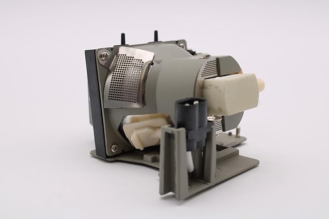 Advanced Lamps™ Lamp & Housing for The Infocus IN1112A Projector