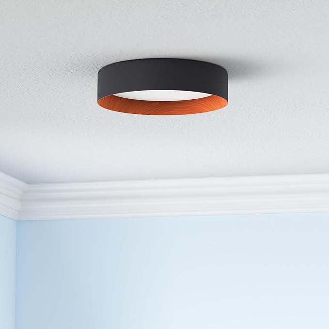 Bargeni Flush Mount Ceiling Light,13 inch Ceiling Light Fixtures,Matte Black with Wood Accent,3000K/Warm White/18W(100w Equiv.),Dimmable LED Lighting Fixtures Ceiling for Kitchen,Outdoor