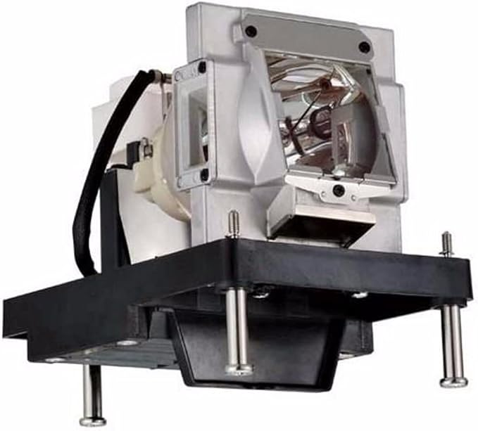 Advanced Lamps™ Lamp & Housing for The Barco RLM-W12 Projector