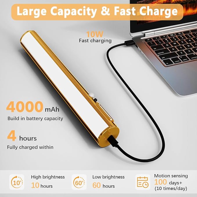 Motion Sensor Battery Operated Picture Light, Wireless Rechargeable Magnetic Art Wall Sconce with Remote Control, LED Picture Frame Lighting for Paintings Poster Mirror Portrait Gallery Dart (Brass)