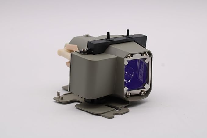 Advanced Lamps™ Lamp & Housing for The Infocus IN1112A Projector