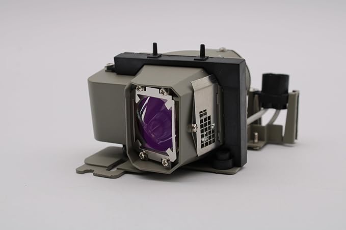 Advanced Lamps™ Lamp & Housing for The Infocus IN1112A Projector