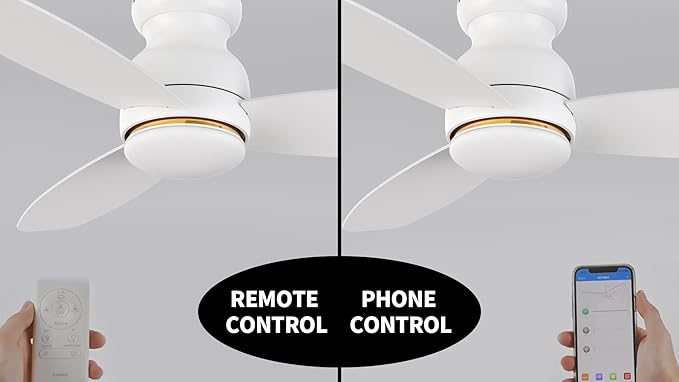 Carro Ceiling Fan with Lights, Indoor & Outdoor Ceiling Fan, 48" Low Profile DC Smart Ceiling Fan Compatible with Alexa, Siri, Google Home & Smart APP, 2 Colors of Reversible Blades,White