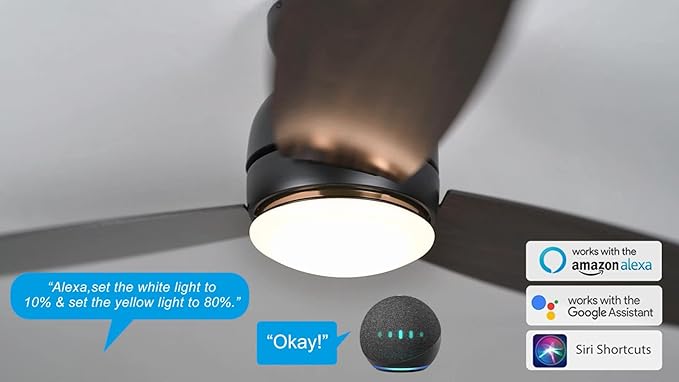 Carro Ceiling Fan with Lights, Indoor & Outdoor Ceiling Fan, 60" Low Profile DC Smart Ceiling Fan Compatible with Alexa, Siri, Google Home & Smart APP, Dark Walnut