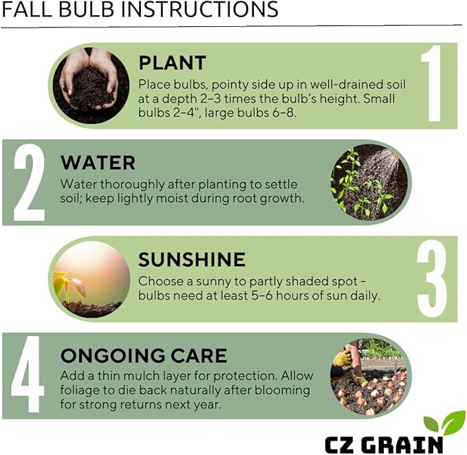 20 Mixed Tulip Flower Bulbs - Breeders Choice - Easy to Grow