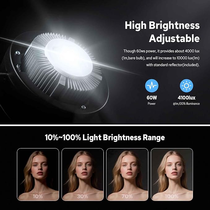 Godox SL60W LED Video Light, 60W 5600K Daylight LED Continuous Light SL-60W, Powerful Studio Bright Light with Bowens Mount 10-100% Brightness for Video Recording Wedding