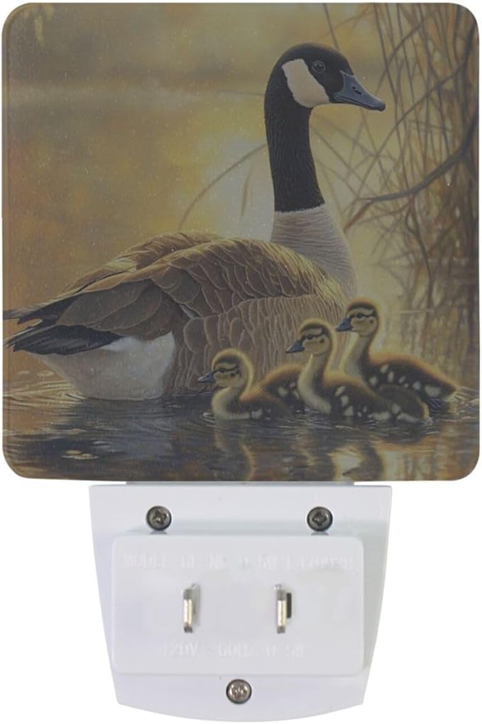 Canada Geese and Goslings Night Light 2 Pack Dusk to Dawn Sensor Led Lamp for Women Men Night Lights Plug into Wall Decor for Bedroom Kitchen Bathroom Corridor, 0.5W