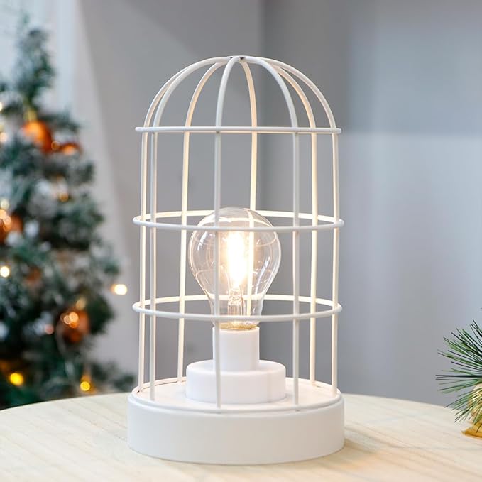 JHY DESIGN Battery Operated Lamp 10''H Decorative Table Lamp Metal Cage Cordless Lamps with LED Bulb for Home Decor Living Room Bedroom Kitchen Wedding Patio Indoor（White）