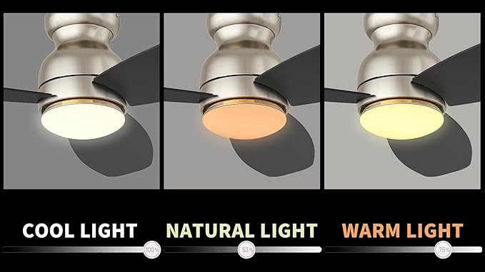 Carro Ceiling Fan with Lights, Indoor & Outdoor Ceiling Fan, 52" Low Profile DC Smart Ceiling Fan Compatible with Alexa, Siri, Google Home & Smart APP, 2 Colors of Reversible Blades, Silver