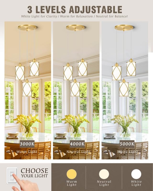 Brushed Gold Pendant Light Fixtures, 3-Light Dining Room Chandeliers with Frosted Glass, Modern Cluster Hanging Pendant Lighting for Kitchen Island Sink Bedroom, CH9176BGW3
