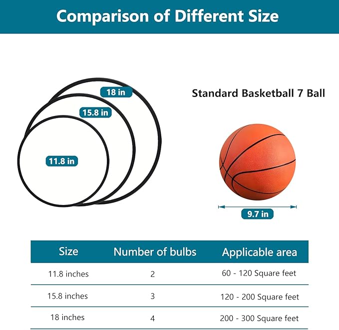 Modern Flush Mount 2-Light Round Black Ceiling Light Fixture, Minimalistic Acrylic Shade Lighting for Bedroom, Laundry Room, Foyer, Hallway (11.8")