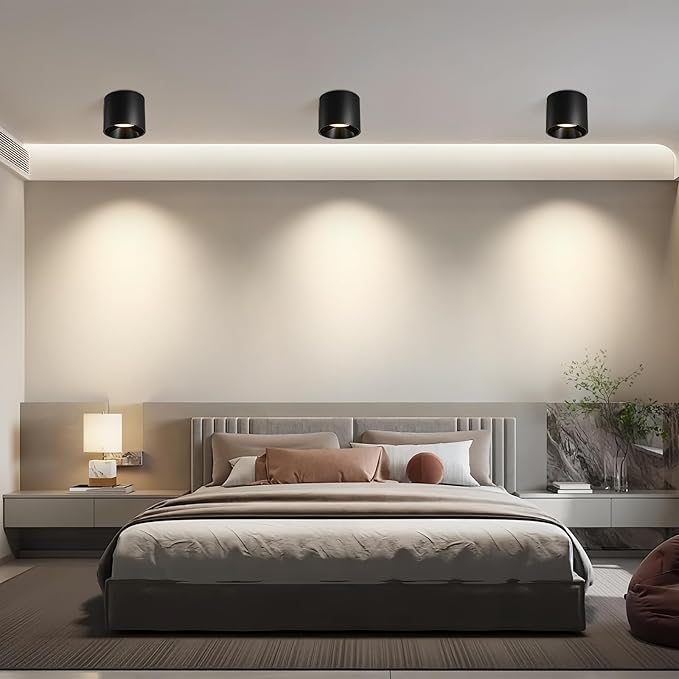 Modern LED Flush Mount Ceiling Light Fixture, 20W Dimmable & 3000K-6000K 3 Color Selectable Black Cylinder Ceiling Lamps for Low Profile Living Room Hallway Entryway Kitchen Dining Room Foyer