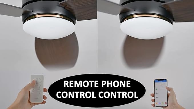 Carro Ceiling Fan with Lights, Indoor & Outdoor Ceiling Fan, 60" Low Profile DC Smart Ceiling Fan Compatible with Alexa, Siri, Google Home & Smart APP, Dark Walnut