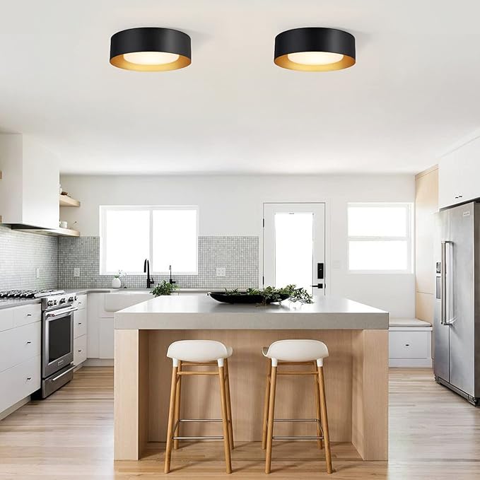 Modern Black and Gold Flush Mount Ceiling Lights, Glass Round Ceiling Lighting, Minimalist Drum Close to Ceiling Light Fixtures for Bedroom, Dining Room, Bathroom, Hallways, Living Room