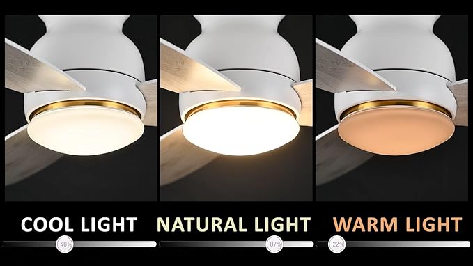 CEME 48 Inches White Ceiling Fan with Light Flush Mount, DC 10 Speeds Silent Ceiling Fan with Remote, 3 Dual Finish Blades, 3 Light Colors Dimmable LED for Living Room, Bedroom