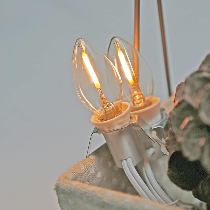 Accessory Cord with LED Night Lights - White Cord with On/Off Switch, Warm White C7 Bulbs and Spare Fuse for Holiday and Home Decoration