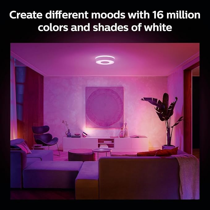 Hue Infuse Ceiling lamp LED White