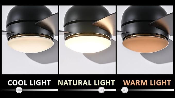 Carro 44" Black Ceiling Fan with Light Flush Mount, DC 10 Speeds Silent Ceiling Fan with Remote, 2 Light Colors Dimmable, for Living Room, Bedroom, Dark Walnut