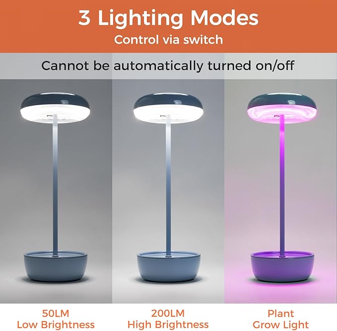 Solar Yard Outdoor Table Lamp, Cordless USB Solar Table Lamp for Patio Water Resistant, 3 Lighting Modes Solar Desk Lamp for Garden Outside Patio Bedroom Living Room, Blue