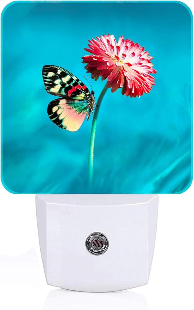 Butterfly Pink Flower Night Light,Plug-in Night Lights with Dusk-to-Dawn Sensor for Stairway,Hallway,Bedroom Sleep Friendly Ideal for Women/Girls/Boys Gift,0.5w
