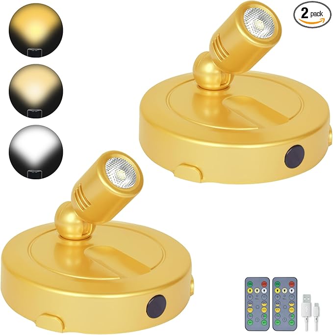 LED Spotlight Indoor,Rechargeable Battery Uplighting Indoor with Timer,3CCT Dimmable Accent Spot Lights for Plants Tree Wall Art Display Painting Artwork Portrait Dartboard Gallery-Gold