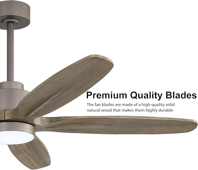WINGBO 54" Ceiling Fan with Light - 5 Carved Solid Wood Blades, 6-Speed Reversible DC Motor, Dimmable, 3CCT, Noiseless Remote Control Ceiling Fans with Lights for Bedroom Living Room, Charcoal Gray