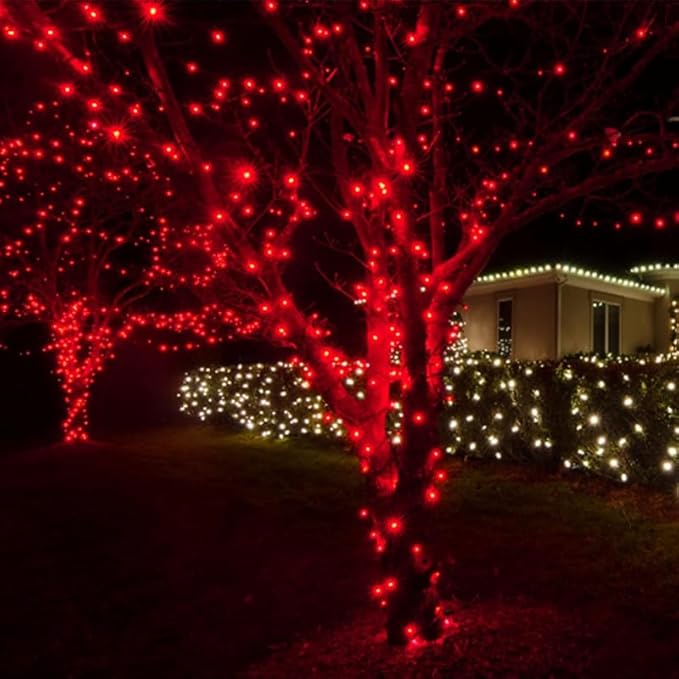 LAMPHOME 50 LED Red Valentine Lights,Christmas Lights 16 FT Mini String Light with 9 Modes & 6 Hour Timer, Battery Operated for Indoor Outdoor Patio Garden Party Tree Valentine's Day Decoration