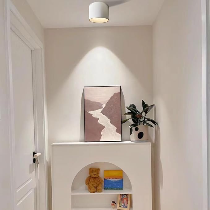 LED Dimmable Ceiling Spotlight Aluminum White 4.72" Cylinder Spot Light Indoor Modern Minimalist Focus Accent Down Light for Cylinder Hallway Kitchen Foyer CRI 98 12W 3000K