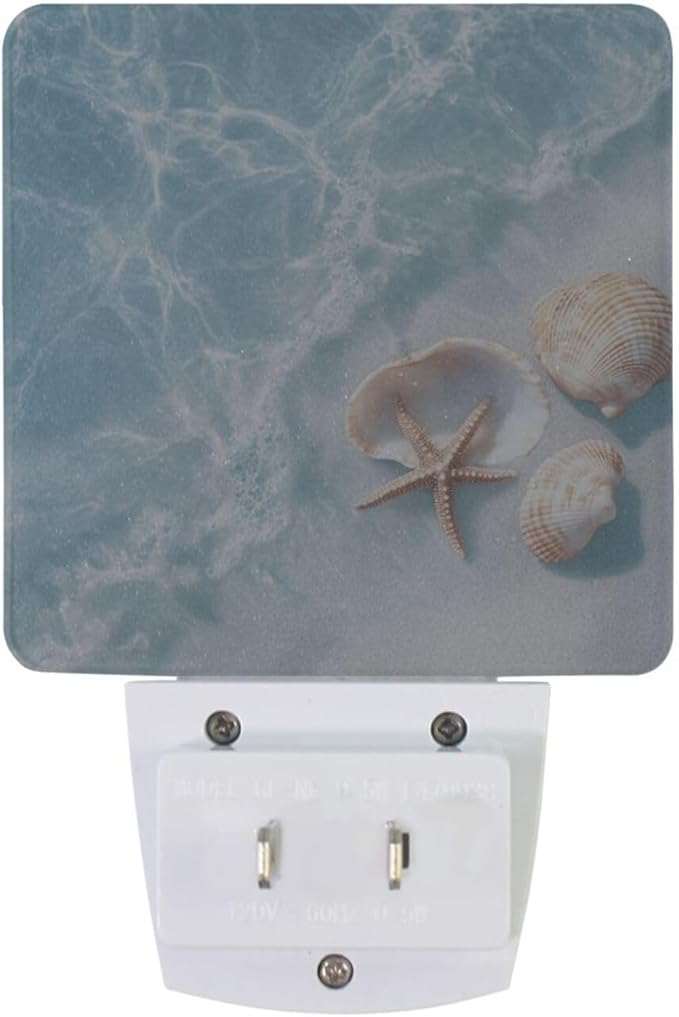 Blue Beach Shells Night Light 2 Pack Dusk to Dawn Sensor Led Lamp for Women Men Night Lights Plug into Wall Decor for Bedroom Kitchen Bathroom Corridor, 0.5W